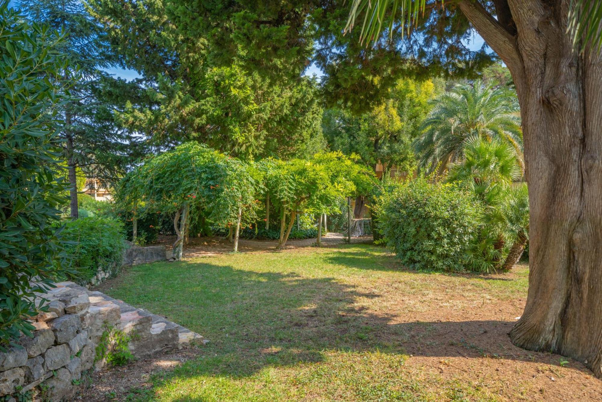 Les 15 Pins & La Mer -Your Green Getaway Near Sea & Beach Antibes Exterior photo