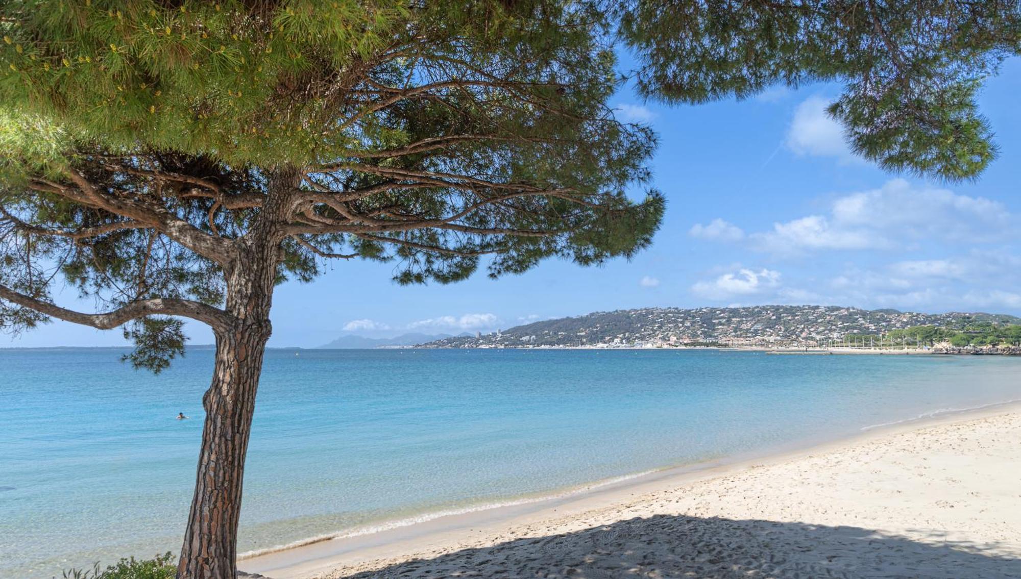 Les 15 Pins & La Mer -Your Green Getaway Near Sea & Beach Antibes Exterior photo
