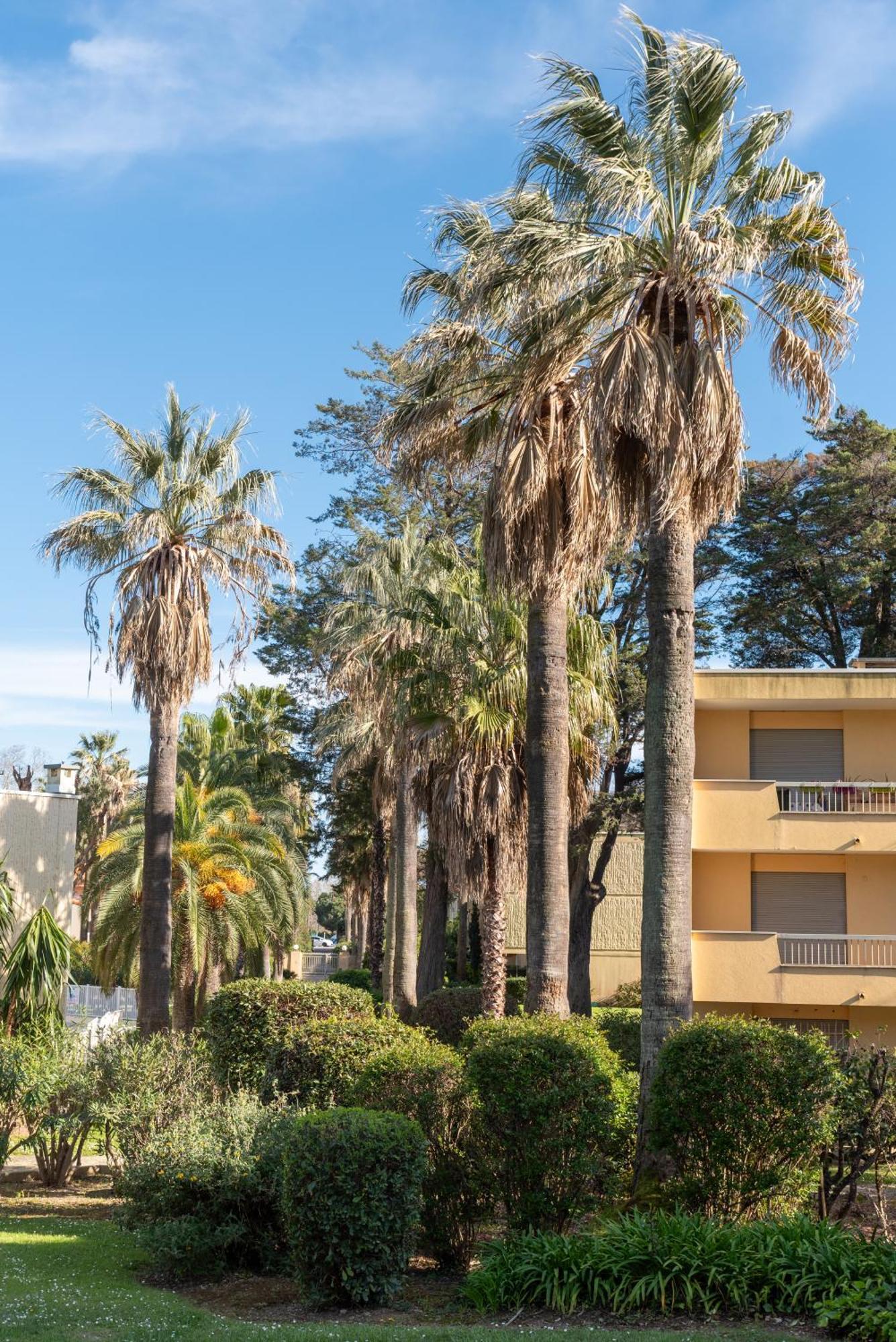 Les 15 Pins & La Mer -Your Green Getaway Near Sea & Beach Antibes Exterior photo